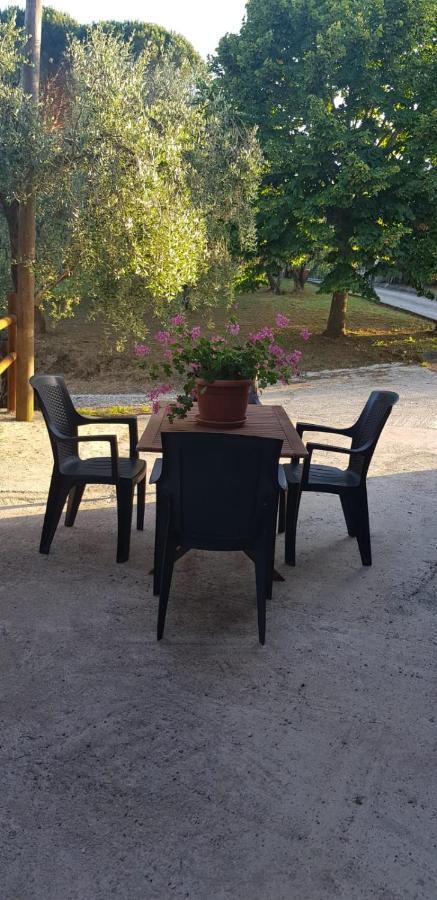 Il Fienile Villa Santa Maria a Monte Екстериор снимка